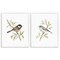 Stupell Industries Small Birds on Branches 2 pc Framed Giclee Wall Art Set Design by Cindy Jacobs